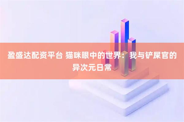 盈盛达配资平台 猫咪眼中的世界：我与铲屎官的异次元日常